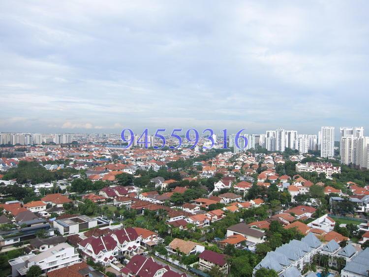 The Seafront On Meyer (D15), Condominium #118832522